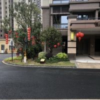 碧桂園御府  105㎡ 95.88萬元
