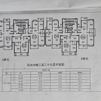 鳳池花苑  91㎡ 證全 含層次差110萬元