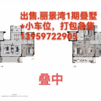 世科水岸林邸  92㎡ 70.8萬元，首付15萬