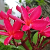 龍湖街  130㎡ 價(jià)格面議