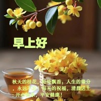 寶泰花苑  127㎡ 3房2廳  毛坯房   一平方8500萬元