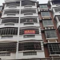 世科五組安置房  10號(hào)樓，502，120㎡ 600元/月；13808504992