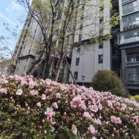 鳳池花苑  126㎡ 103萬元，，毛坯房，證滿二年，過戶優(yōu)惠