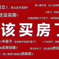 城東新區(qū)  108㎡ 室外車位 40萬(wàn)元 首付5萬(wàn)
