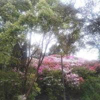 文亭小區(qū)  122㎡  3房 2廳 毛坯房  一平方8000萬(wàn)元
