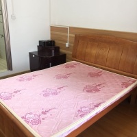 塔雁小区  30㎡ 799元/月