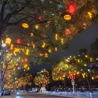 乐兴小区边套 2楼毛坯三房108平方 29.8万 电梯已装好 看房15359608277  108㎡ 29.8万元