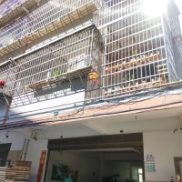 荣昌小区  80.00㎡ 550元/月