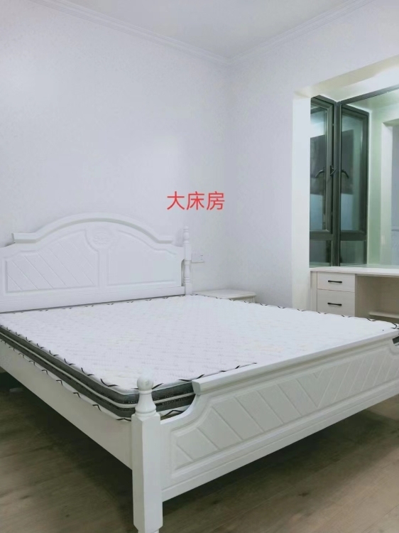 金龍中心城  50㎡ 2500元/月