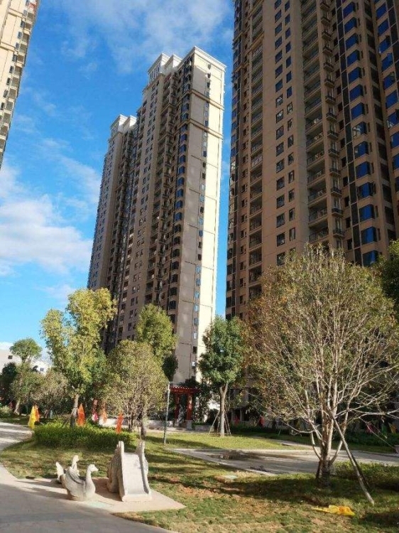 金龍中心城  108㎡ 4000元/月
