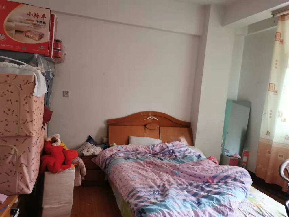 龍湖路  40㎡ 650元/月