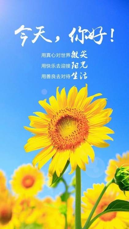 美伦商品房[**]四房二厅，130平米 送一房 南北通透，日照充足！包过户费仅148万