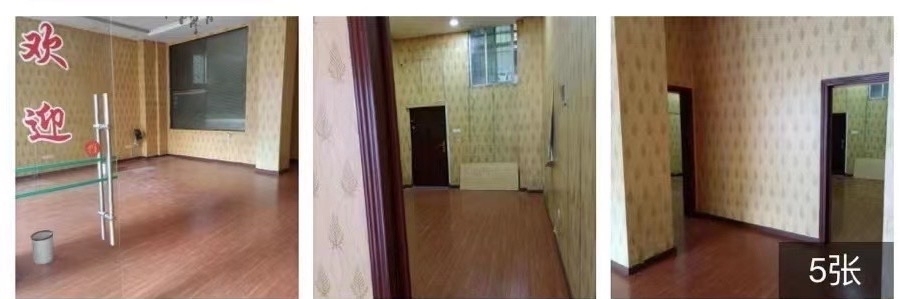 畢石小區(qū)  104㎡ 3000元/月