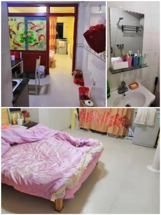 龍東小區(qū)  40㎡ 35萬元