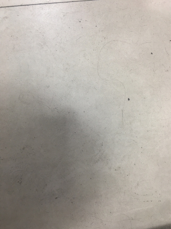 金龍中心城  118㎡ 面儀萬(wàn)元