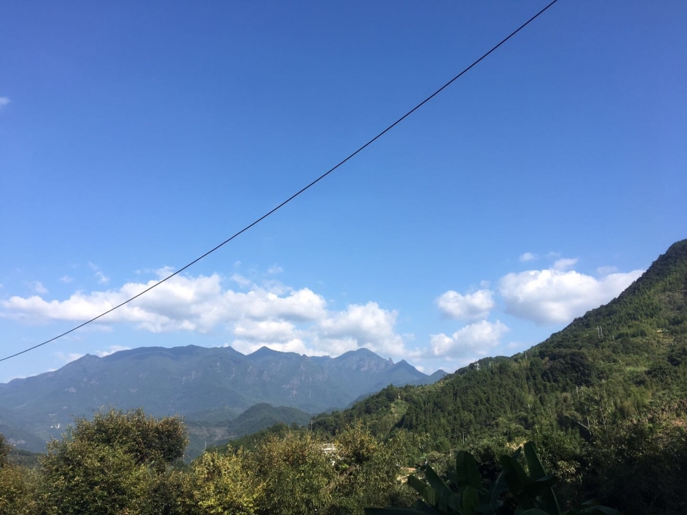 瓷城花園46幢 50㎡ 價(jià)格面議