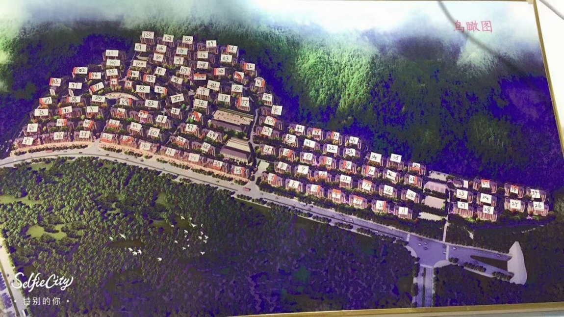 樂興小區(qū)  毛坯2房 60㎡ 25萬元