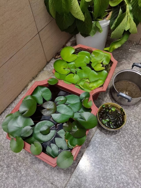 撿漏！！近水岸邊，視野開(kāi)闊的電梯復(fù)式樓中樓
