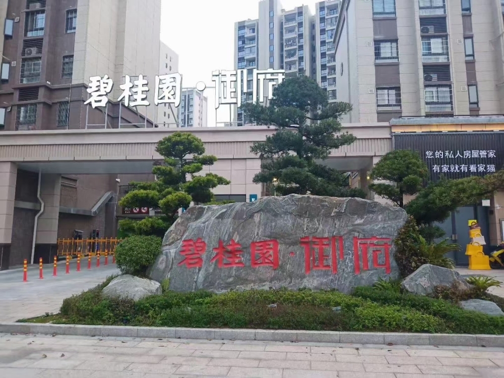 碧桂園毛坯房100平方，每平方9800，南北通透，陽光充足，過戶便宜。一位小車位另售15萬。