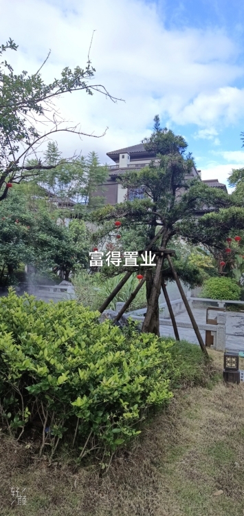 金交頤園 別墅  276㎡毛坯房  360萬(wàn)
