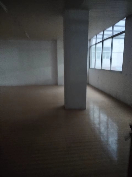   300㎡ 2000元/月
