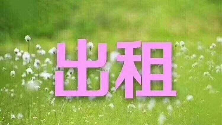稀缺房源  嘉德新苑3房拎包入住