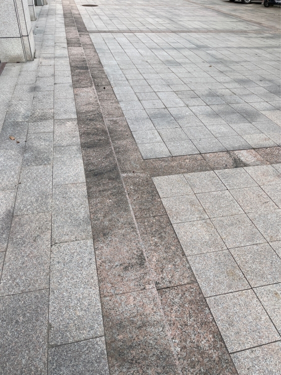 唐寨山路口世科小学  65㎡ 750元/月