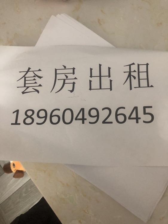 丁墘街  110㎡ 900元/月