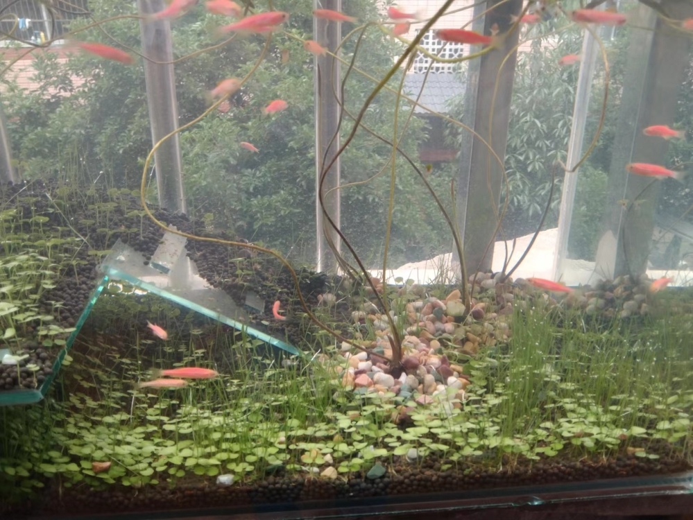 德化  30㎡ 1200元/月