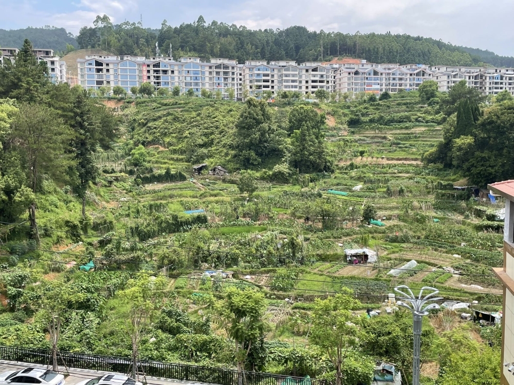 德化  250㎡ 9元/月