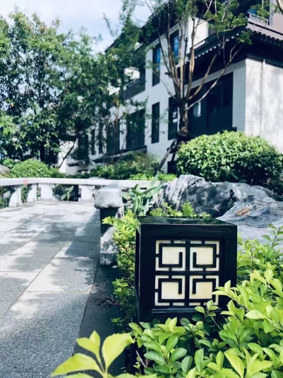 金交頤園  310㎡ 450萬(wàn)元