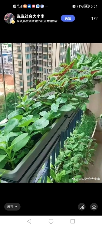 湖中街  130㎡ 1500元/月