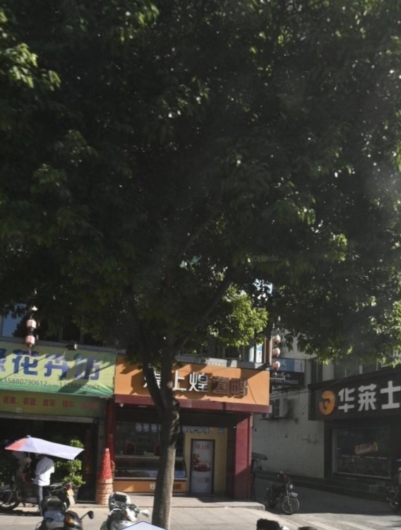 宝美街  120㎡ 1300元/月