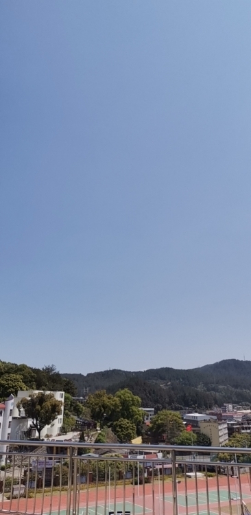 紫云小區(qū)  120㎡ 800元/月