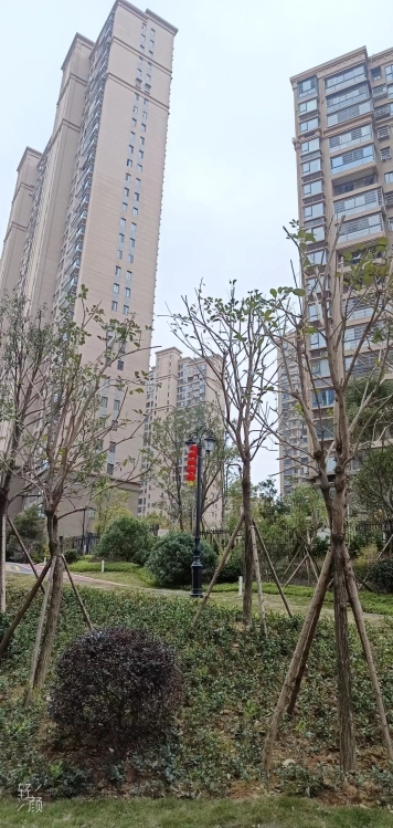 美倫山景疊苑  130㎡另贈(zèng)送一房 毛坯四房148萬(wàn)