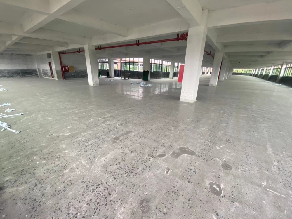 城东三期厂房房东直租   单层2900㎡