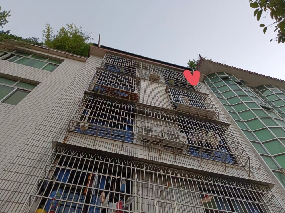 浔东南路312号501  120㎡ 价格面议
