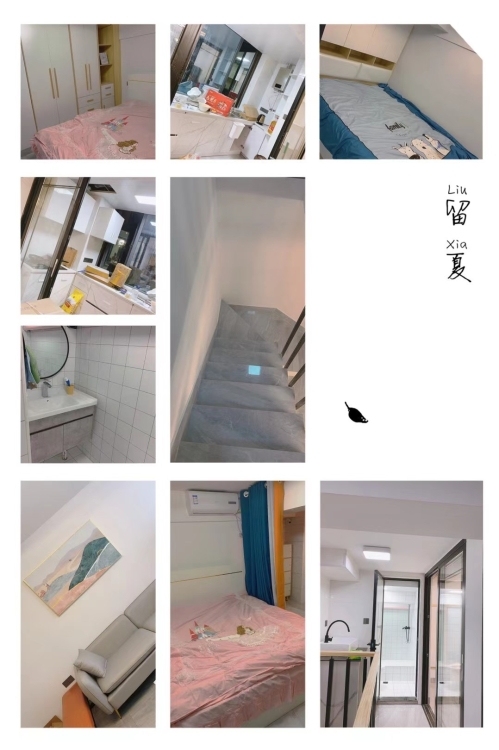 金龍中心城  50㎡ 2400元/月