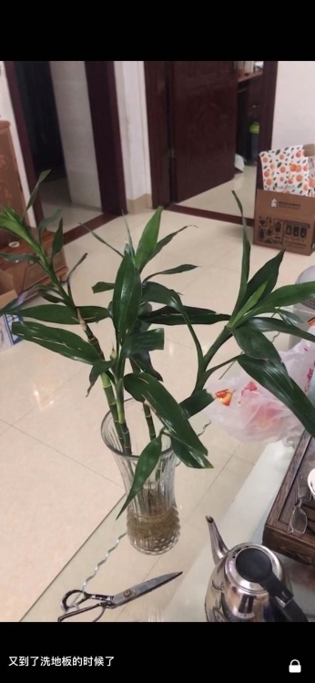 南環(huán)路五洲陶瓷對(duì)面  105㎡ 1300元/月 房子干凈整潔 包含家具家電要的快來