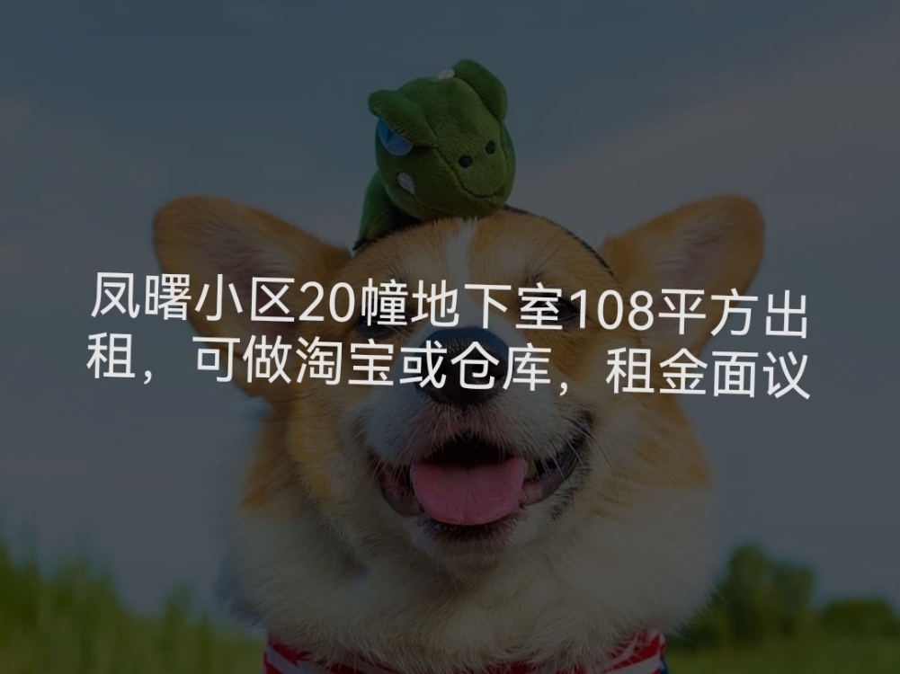 鳳曙小區(qū)地下室出租，可做倉庫或淘寶
