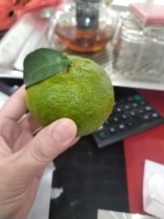 百德畔山1號  33㎡   高裝，證全，39萬元