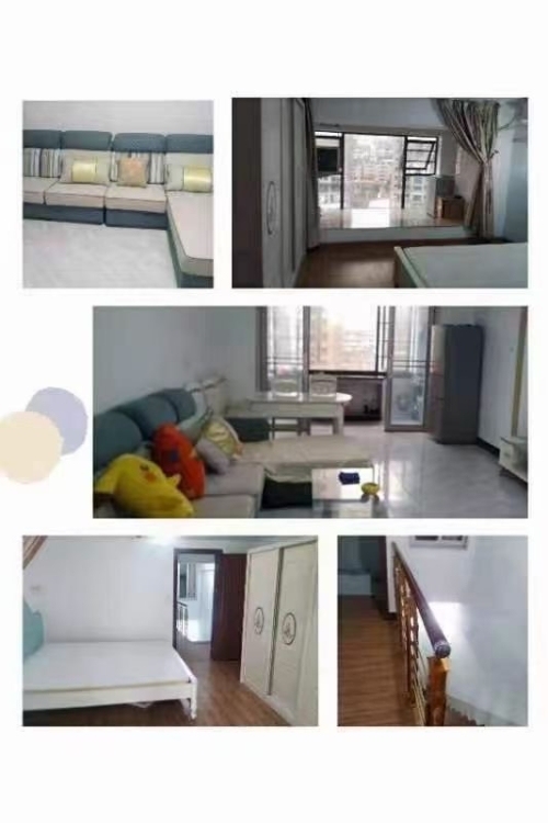 金龍中心城  113㎡ 1800元/月