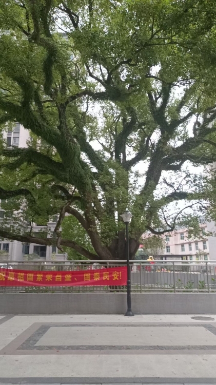 德備小區(qū)90平80萬，好樓層。