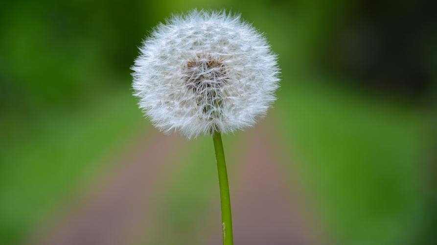 裕正山水花園  40㎡ 價格面議
