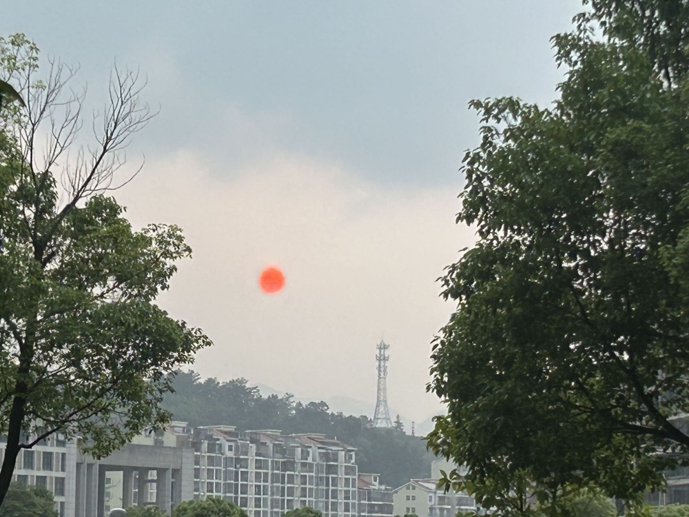 寶龍花園  80㎡ 1800元/月