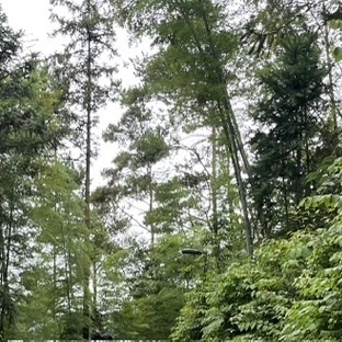 坪埔瓷城花園  35號(hào)樓2間店面120㎡ 出租1800元/月