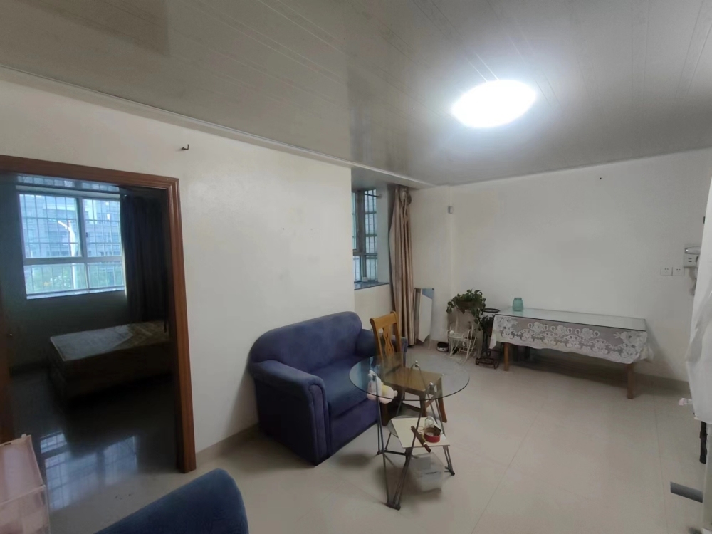 城東單身公寓，一房一廳  45㎡ 800元/月