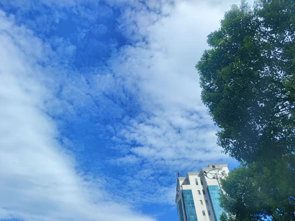 南雁小區(qū)  50㎡ 價(jià)格面議