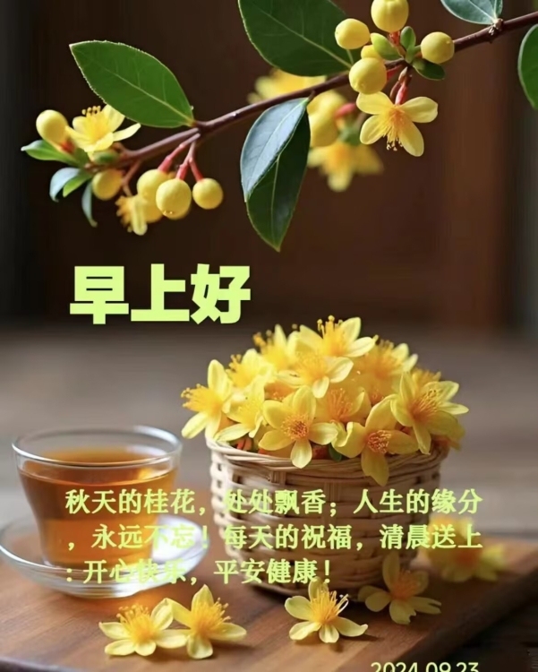 德備小區(qū)  144㎡  4房2廳  毛坯房 一平方9000萬(wàn)元