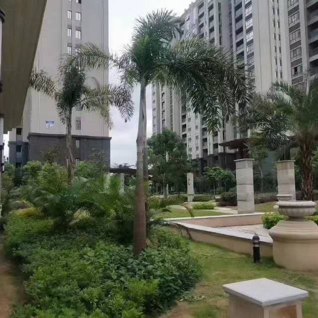 王厝山新苑  96㎡ 毛坯房  好樓層 僅售80幾萬